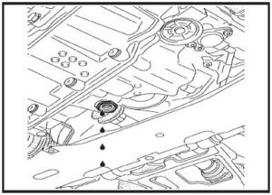 Autobody Magazine | Comprobación de nivel de aceite en transmisiones  automáticas