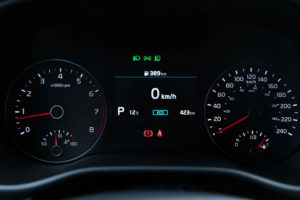 Sportage Baja (50 of 70)